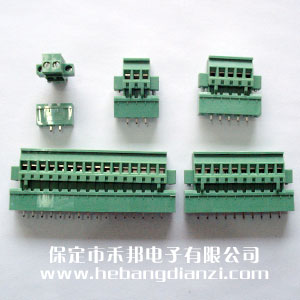 立式插拔帶固定孔側接-2P,3P,4P,5P,6P,8P,9P,10P,12P,14P,15P,16P,24P