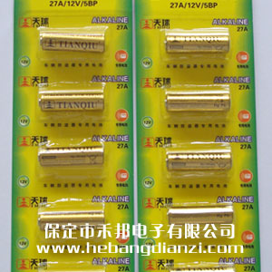 27A늳� 12V