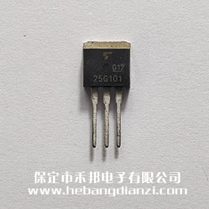 GT25G101