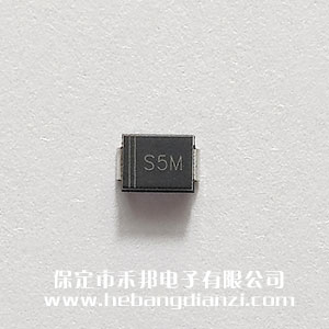 S5M