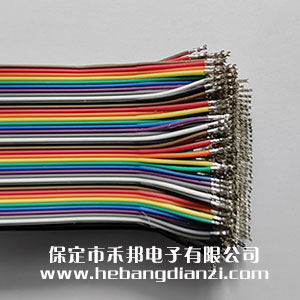 2.0�Ű50cm